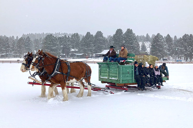 Snow Sleigh