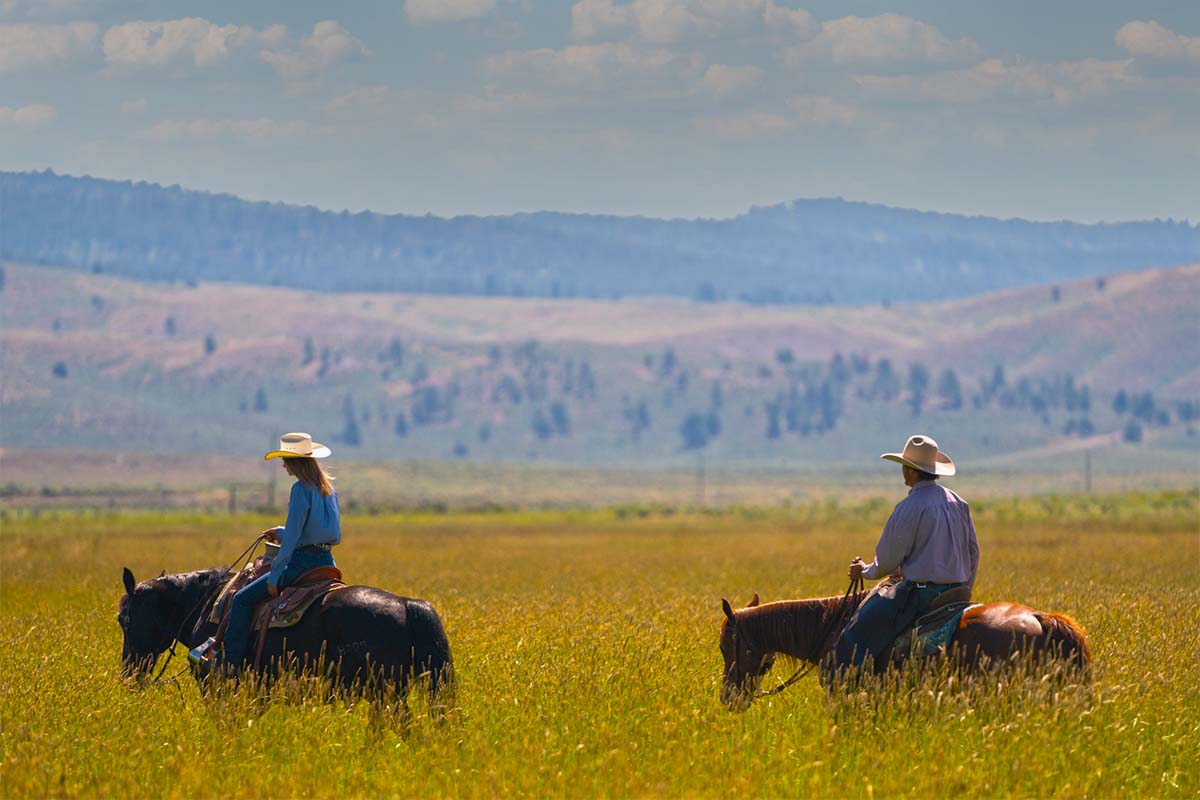 Horseback Trail Riding